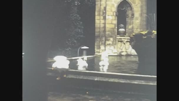 1973年10月10日 西班牙 巴塞罗那大教堂 70年代的鹅群 — 图库视频影像