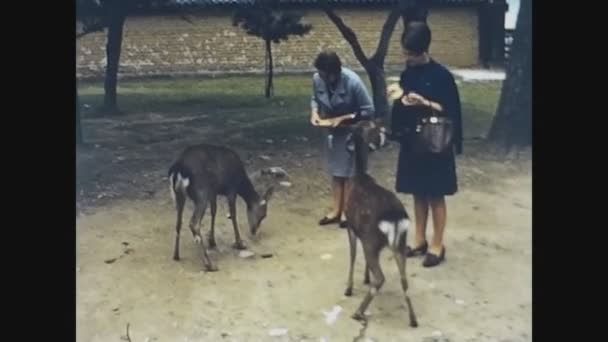 Wakakusa Japón Mayo 1974 Parque Nara Japón — Vídeos de Stock