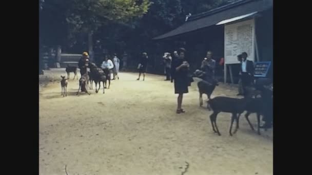 Wakakusa Japan Maj 1974 Nara Park Japan — Stockvideo