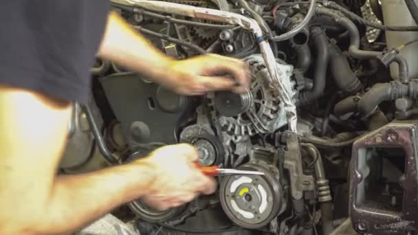 Detail Des Austauschs Des Motorriemens — Stockvideo