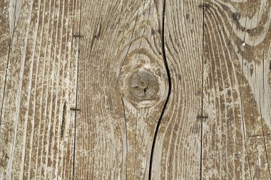 Belirgin bir düğüm, görünür tahıl desenleri, çatlaklar ve eski tırnaklar içeren tahtadan tahtalar, güçlü bir arka plan dokusuna sahip kırsal ve yıpranmış bir yüzey oluşturuyor.