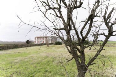 Açık bir alanda, bulutlu bir gökyüzüne karşı uzanan hareketsiz bir ağacın çıplak dalları, arka planda kırmızı panjurlar bulunan geleneksel bir çiftlik evi, kırsal bir kış manzarasını yakalıyor.