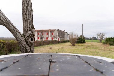 Ön plandaki kırsal ahşap masa üstü, bulutlu bir gökyüzünün altında kırmızı kepenkleri ve geniş alanları olan geleneksel bir kır evine giden eğri büğrü bir ağaç gövdesine yakın bir perspektif sağlıyor.