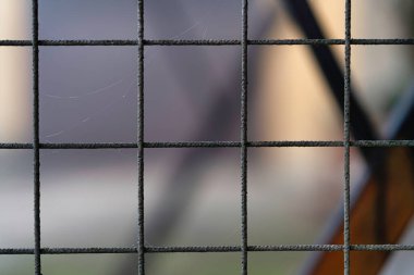 Paslı metal ızgara desenli ön plan soyutlamasını narin örümcek ağlarıyla sunar. Yumuşak odaklı arka plana karşı görsel bir bariyer ve bir sınırlama hissi yaratır.