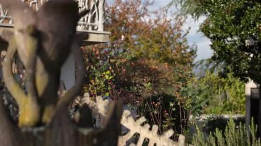 Güneşli bir sonbahar gününde, ağaçlar ve çalılar arasında uçan küçük lahanalı beyaz kelebek odaksız bir ön planda bir samimiyet ve keşif hissi yaratıyor.