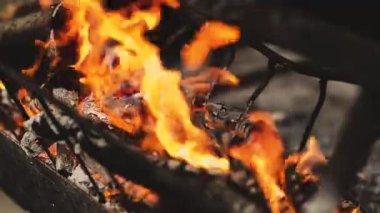 Yoğun sarı ve turuncu alevler, yanan odunların üzerinde titreşiyor. Parlayan kömür közleri ve küller, barbekü için sıcak ve sıcak bir atmosfer yaratıyor.