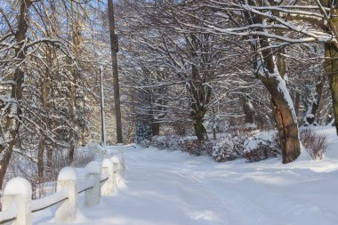 Derin beyaz karla kaplı bir şehir parkının manzarası. Soğuk bir kış gününde donmuş ağaçlar ve yoğun kar altında bir park bankı.