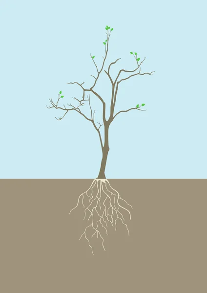 Illustrazione grafica di albero con radice — Vettoriale Stock