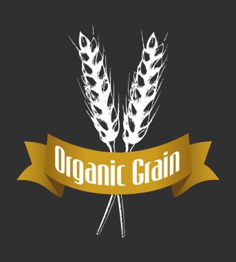 Buğday siyah kroki çizimi