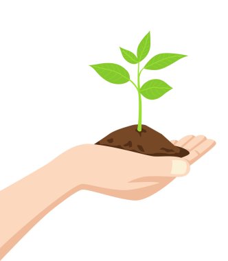 Kir ve genç ağaç tutan el