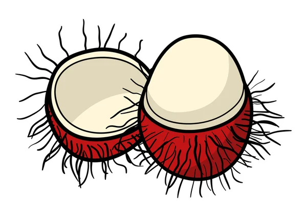 Graphic illustration of rambutan — Stock Vector