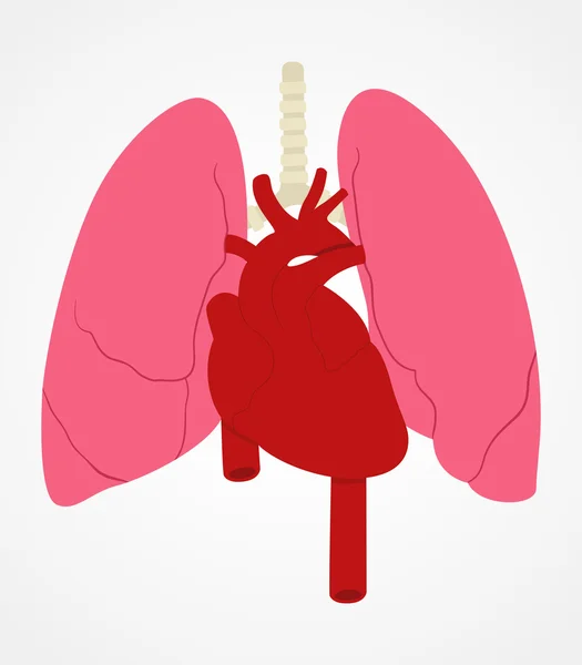 Pulmón y corazón — Archivo Imágenes Vectoriales
