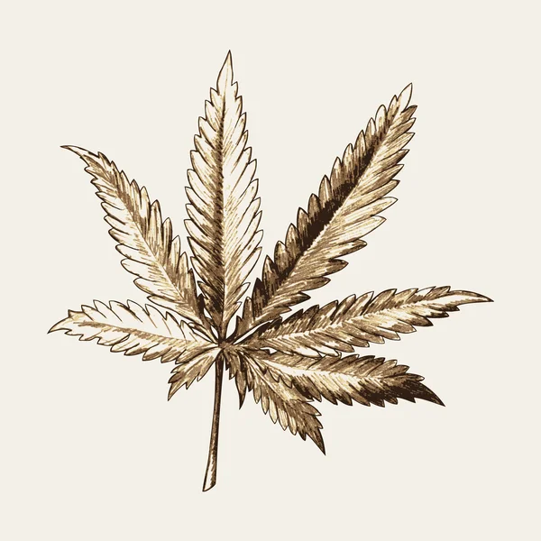 Marihuana — Wektor stockowy