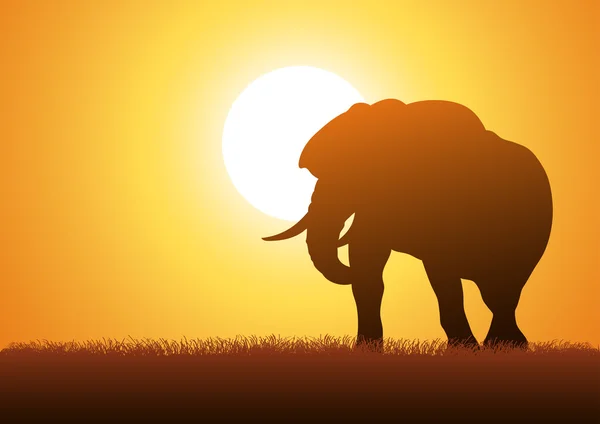 Elephant Silhouette — Stock Vector