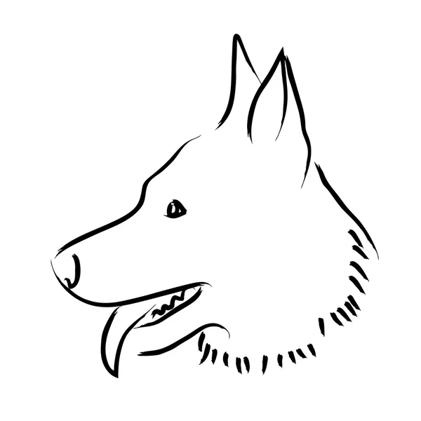 Croquis simple d'un chien — Image vectorielle