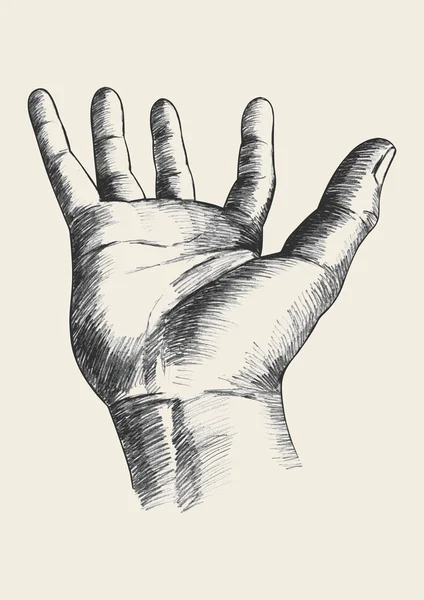 Geste der Hand — Stockvektor