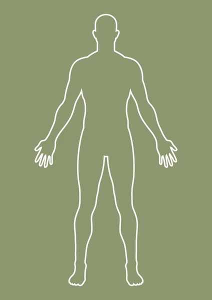 Male Body — Stock Vector