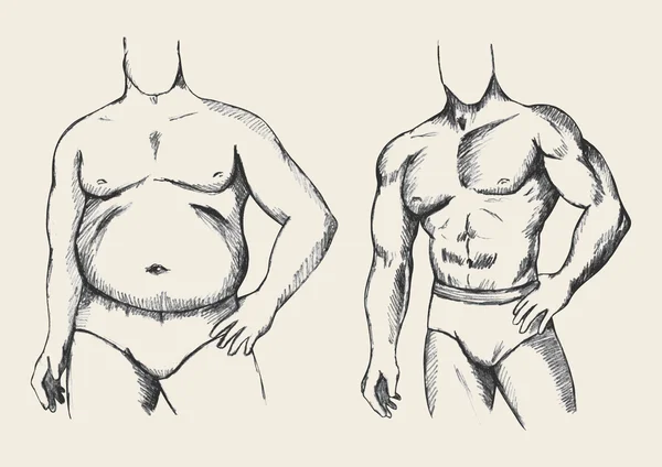 Grasa y en forma — Archivo Imágenes Vectoriales