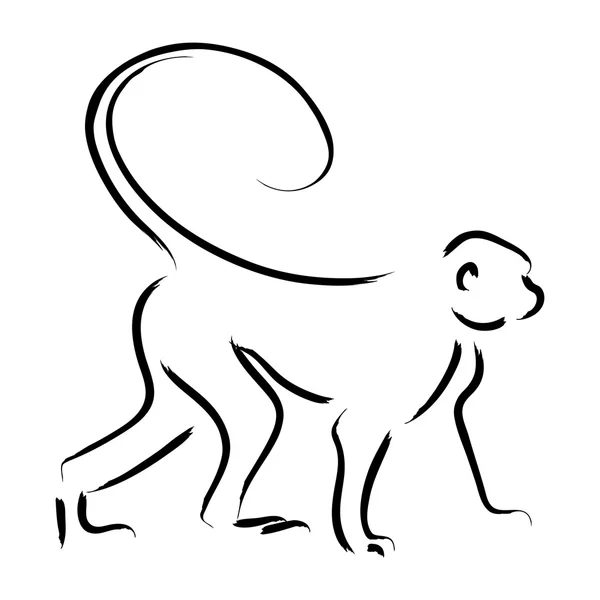 Illustrazione in linea di una scimmia — Vettoriale Stock