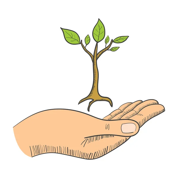 Mano con un símbolo de árbol joven — Vector de stock