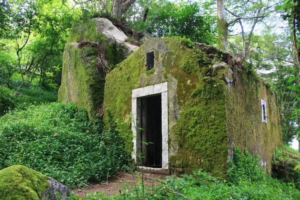 Mossy hut — Stockfoto