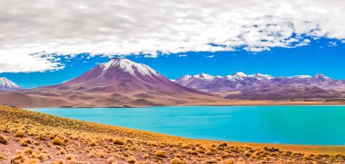 Laguna Miscanti ve Miniques, Atacama Çölü, Şili