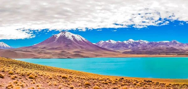 Laguna Miscanti ja Miniques, Atacaman aavikko, Chile — kuvapankkivalokuva