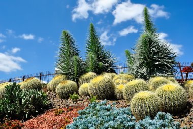 Royal Botanic Gardens clipart