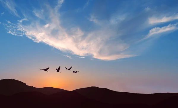 Dağların Üzerinde Uçan Kuşlar Hayvan Göçü Konsepti — Stok fotoğraf