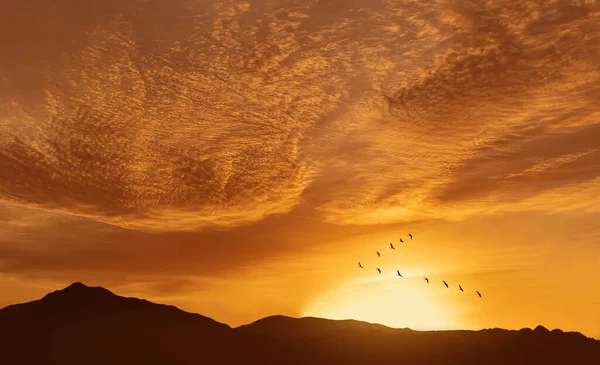 Migratory Birds Flying Shape Dark Sky Background — Stock Photo, Image