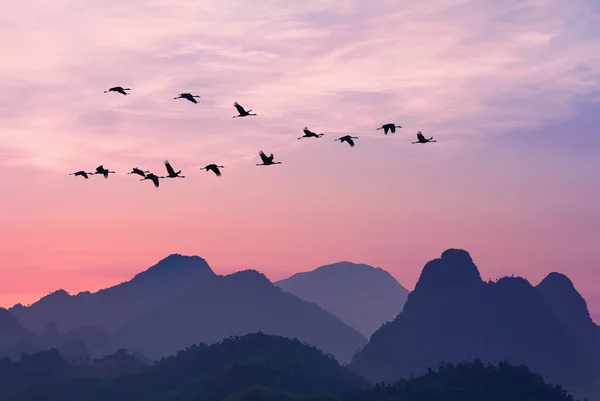 Flock of birds flying over Mountain Range travel, migration, ecology concept