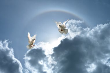 Bulutlar ve gökkuşağı karşı beyaz güvercinler