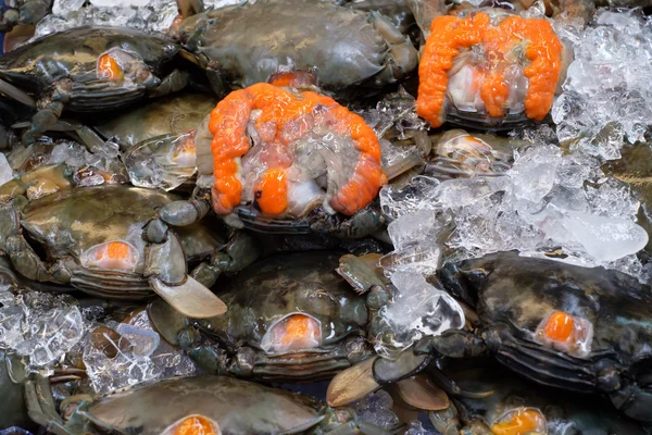 Mariscos frescos en el mercado — Foto de Stock