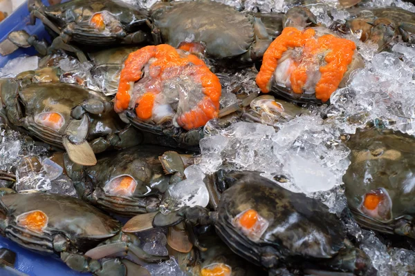 Mariscos frescos en el mercado — Foto de Stock