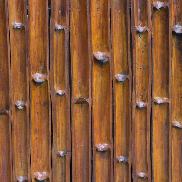 Bamboo texture and background — Stock Photo, Image