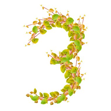 Sayı 3, yeşil yaprakları alfabesi