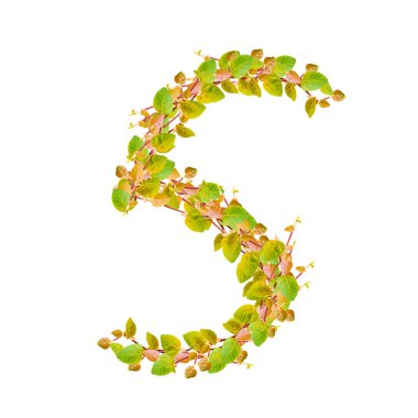 5 numaralı yeşil yaprakları alfabesi