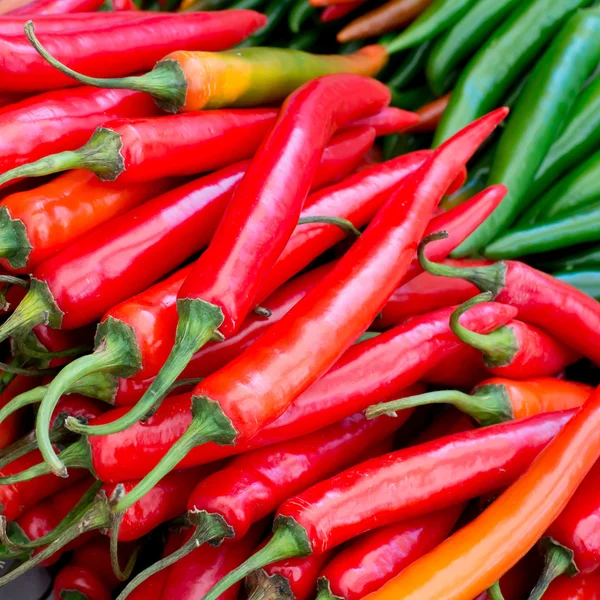 Pimentos de pimentão — Fotografia de Stock