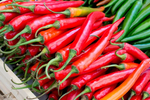 Pimentos de pimentão — Fotografia de Stock