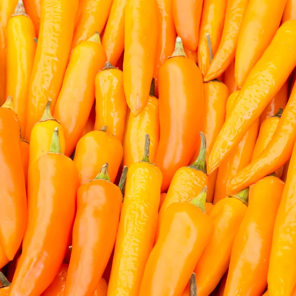 Pimentos de pimentão — Fotografia de Stock