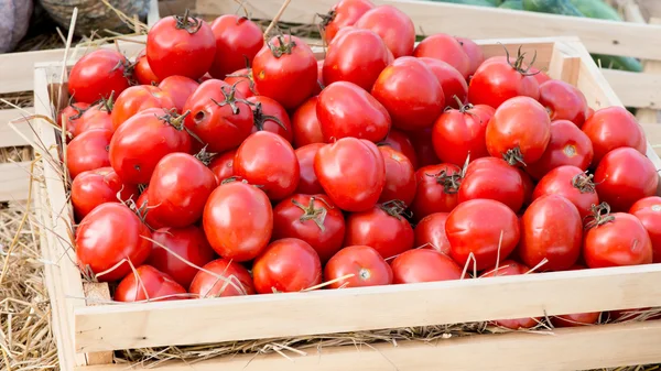 Tomates vermelhos frescos em uma cesta — Fotografia de Stock