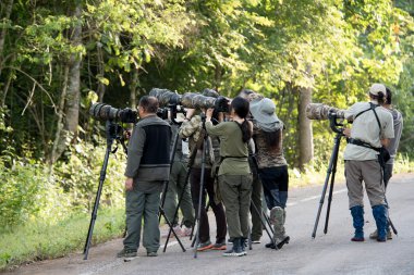 26 tarihinde fotoğrafçı Krachan Kaeng Milli Parkı'nda kuş th Mayıs 20