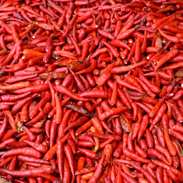 Pimentos vermelhos — Fotografia de Stock