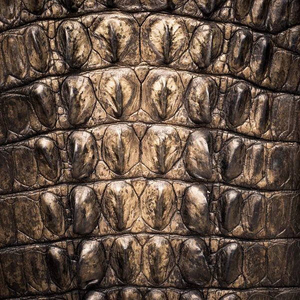 Timsah derisi dokusu