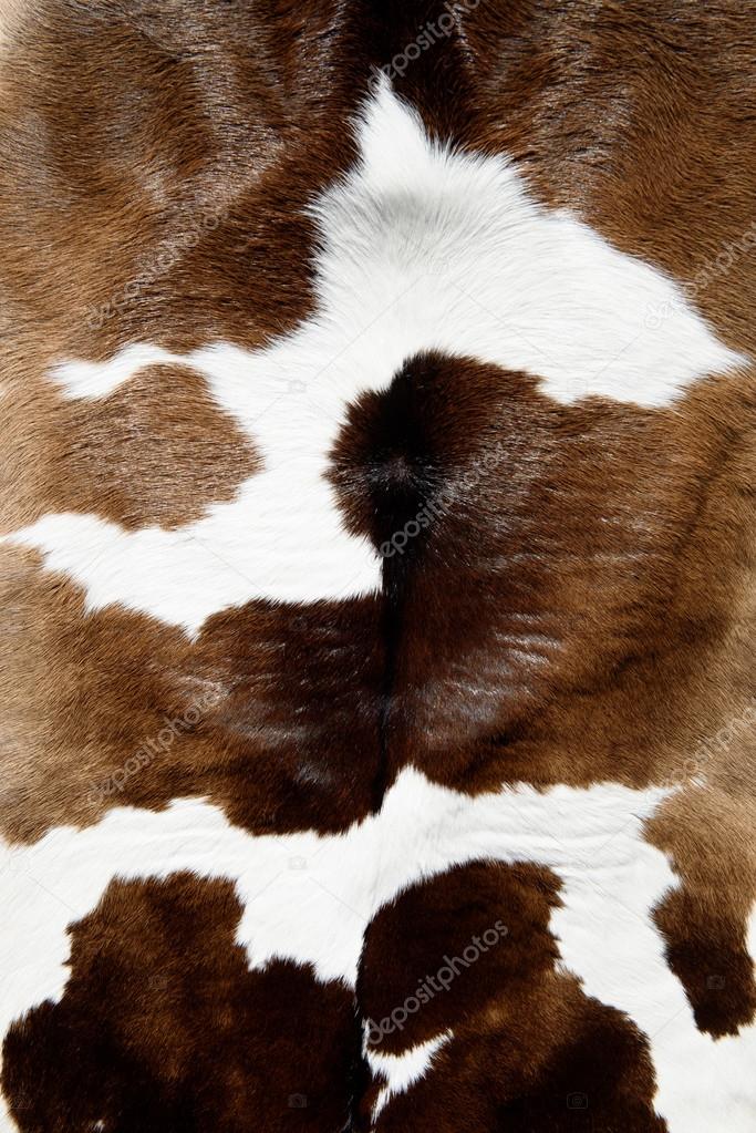 Cow skin texture