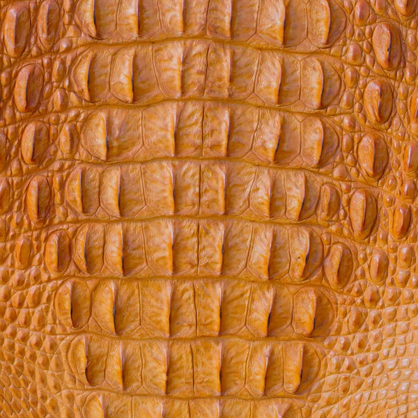 Texture della pelle di coccodrillo — Foto Stock