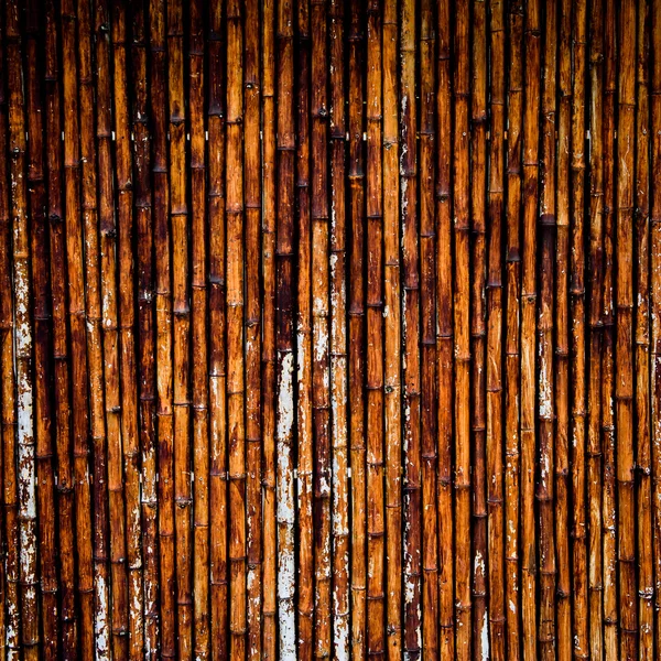 Texture en bambou avec motifs naturels — Photo