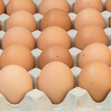 Yumurta, tavuk yumurta