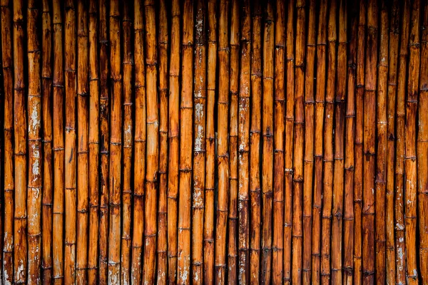 Bamboo texture with natural patterns — Stock Photo, Image