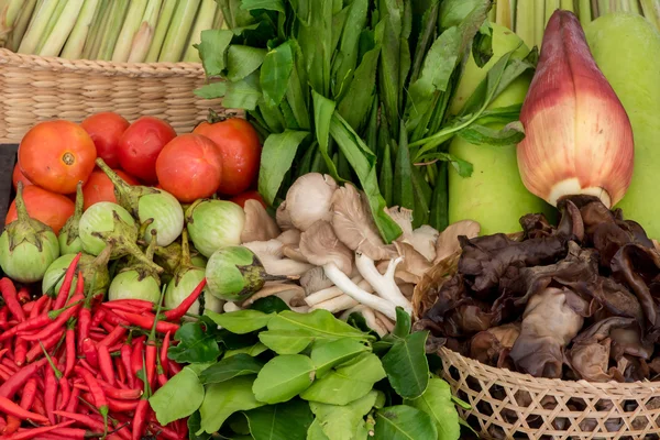 Set of different vegetables in basket — Stock Photo, Image